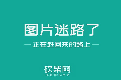 如何查看比特股区块链(如何查看比特股区块链数据)