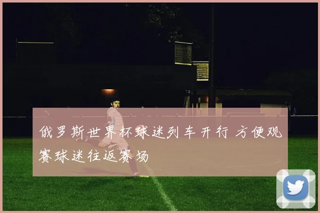 俄罗斯世界杯球迷列车开行 方便观赛球迷往返赛场
