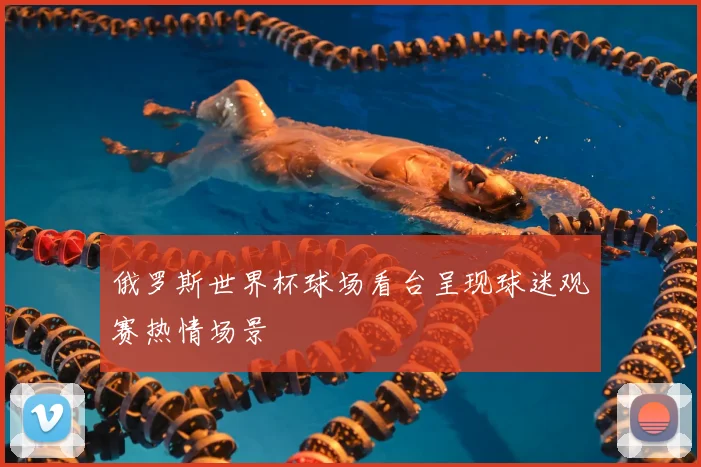 俄罗斯世界杯球场看台呈现球迷观赛热情场景