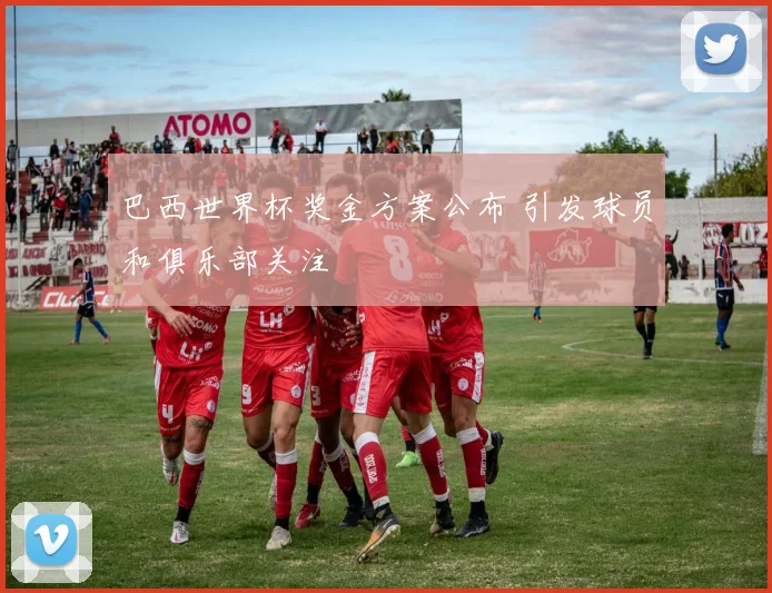 巴西世界杯奖金方案公布 引发球员和俱乐部关注