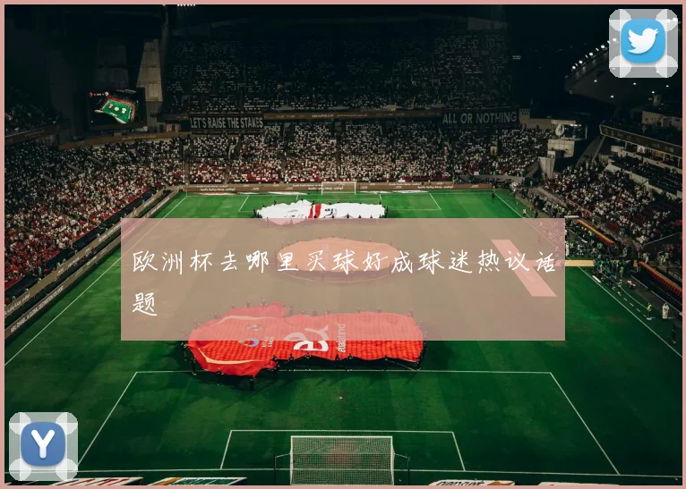 欧洲杯去哪里买球好成球迷热议话题