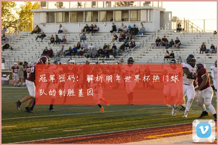 冠军密码：解析明年世界杯热门球队的制胜基因