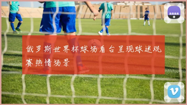 俄罗斯世界杯球场看台呈现球迷观赛热情场景