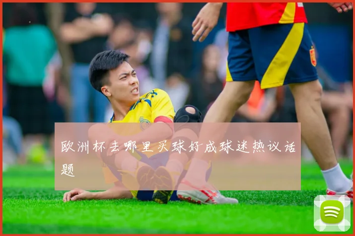 欧洲杯去哪里买球好成球迷热议话题